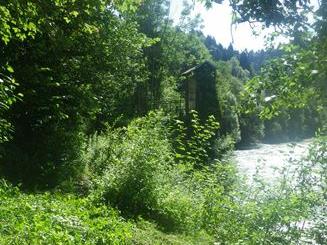 Spaziergang in die phantastischen Wälder des Natura 2000 Gebietes Bregenzerachschlucht