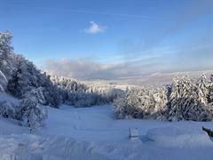 Winterlandschaft+am+Fesslerberg