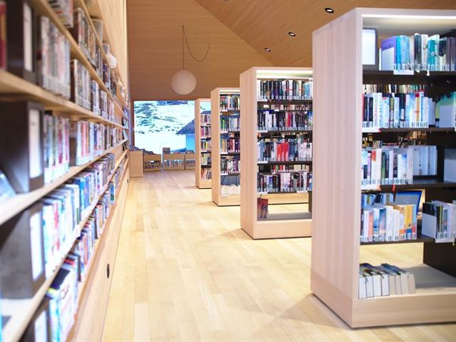 Bücherei Krumbach