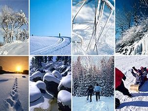 Winter-Newsbild